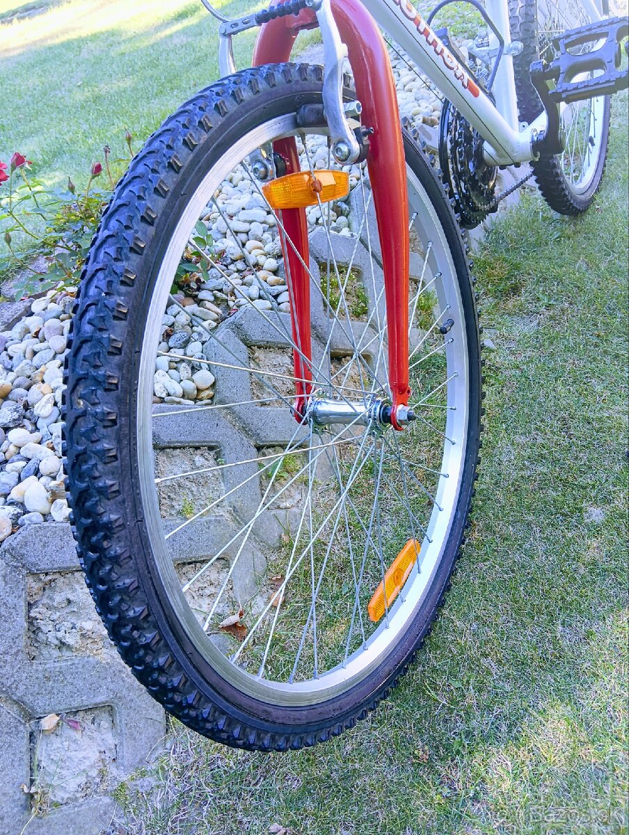 Author -detsky bicykel - 19