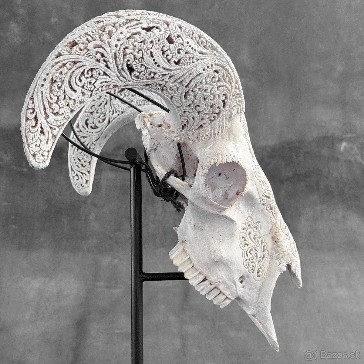 Vyrezávaná lebka barana na kovovom stojane - motív Infinity - 19