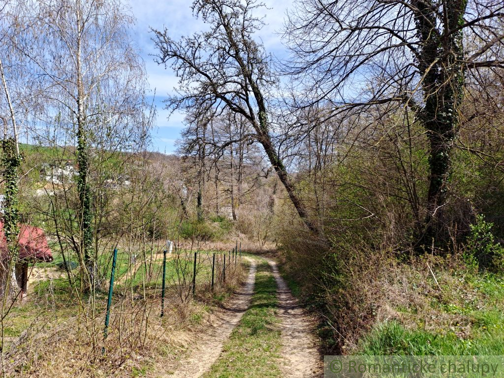 Rozostavaná chatka v rekreačnej oblasti Moravany nad Váhom - 19