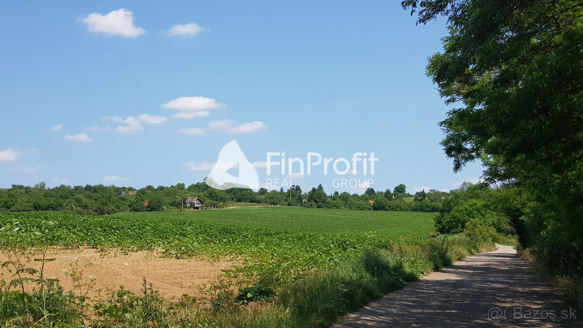 Predám dva vinohradnícke domy s pozemkami medzi vinohradmi p - 19