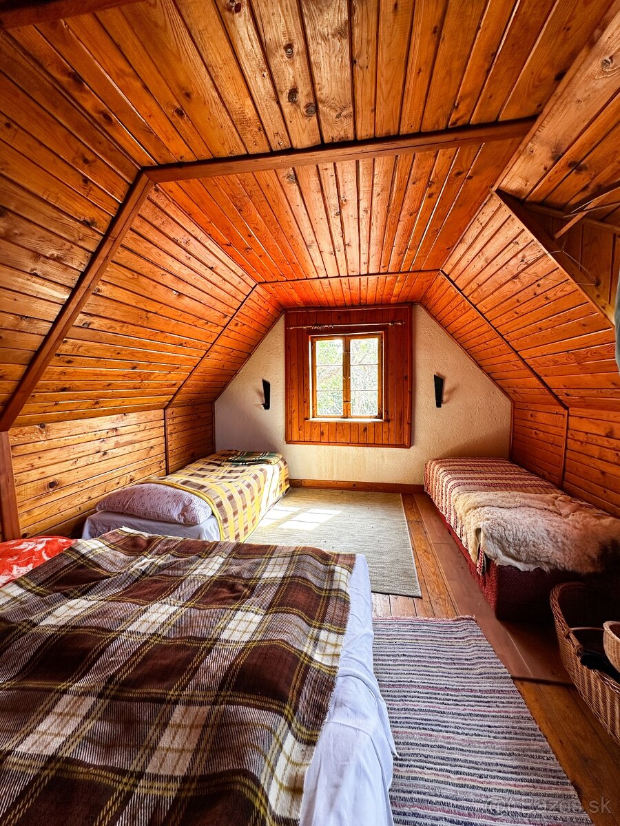 Rozsiahly pozemok s chatou v obci Hrušov - 19