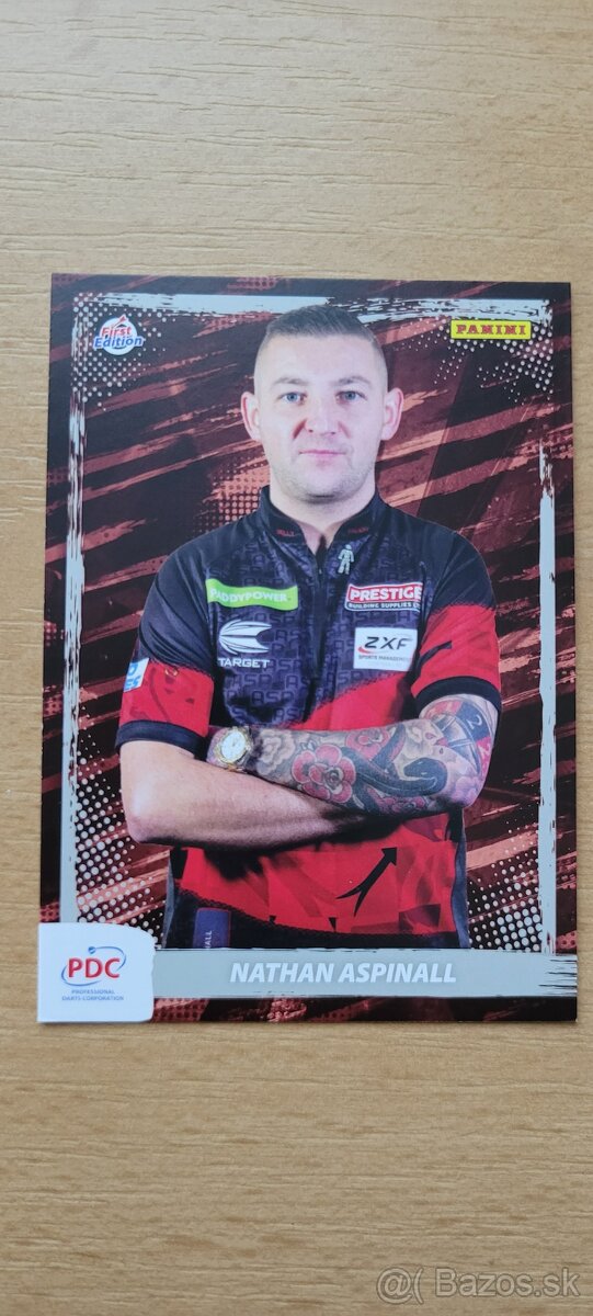 Hráči PDC Darts Šípky - 19