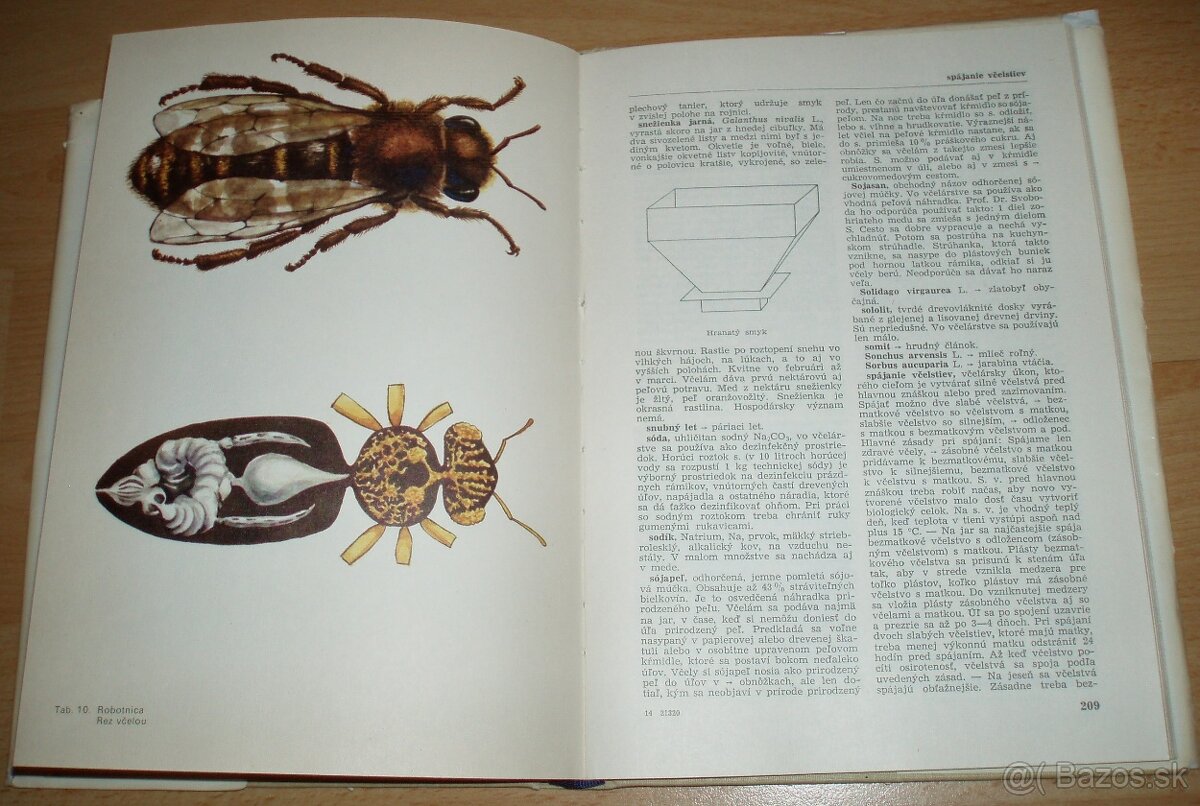 Včelársky náučný slovník - 19