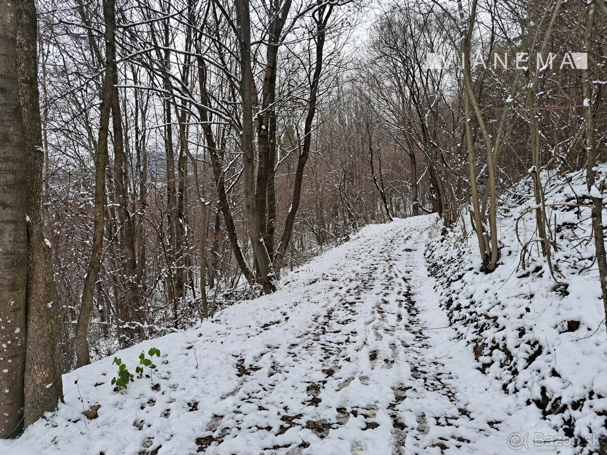 IBA U NÁS Chalupa v prírode pod lesom - Kvašov,okres Púchov - 19