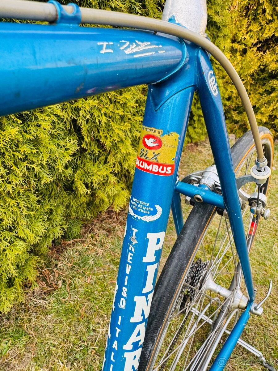 Pinarello “Veggerby” - 19