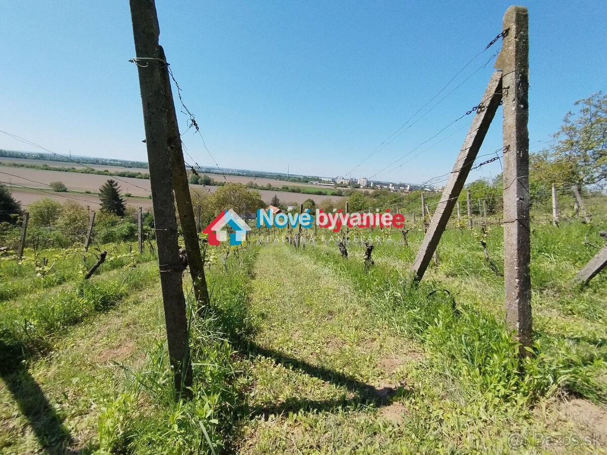 Predaj, 2 zrekonštruované viničné domy-Levice (N028-13-MAHA) - 19