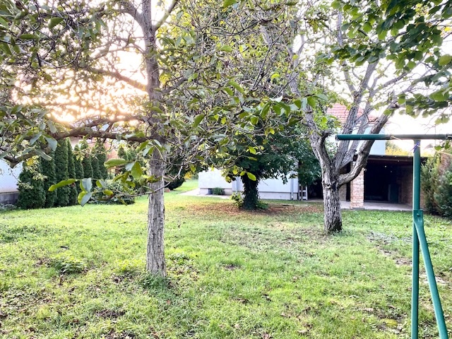 Predaj- 4 izbový dom s krásnou záhradou, Šurany - 19