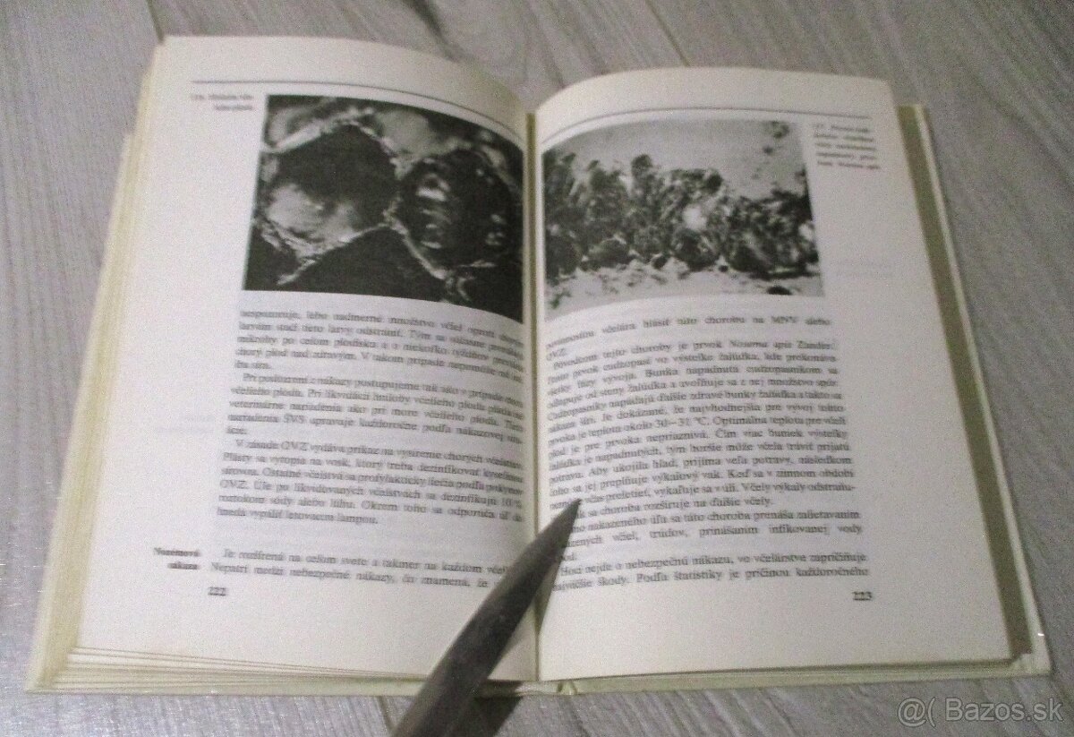 Abeceda včelára - 19