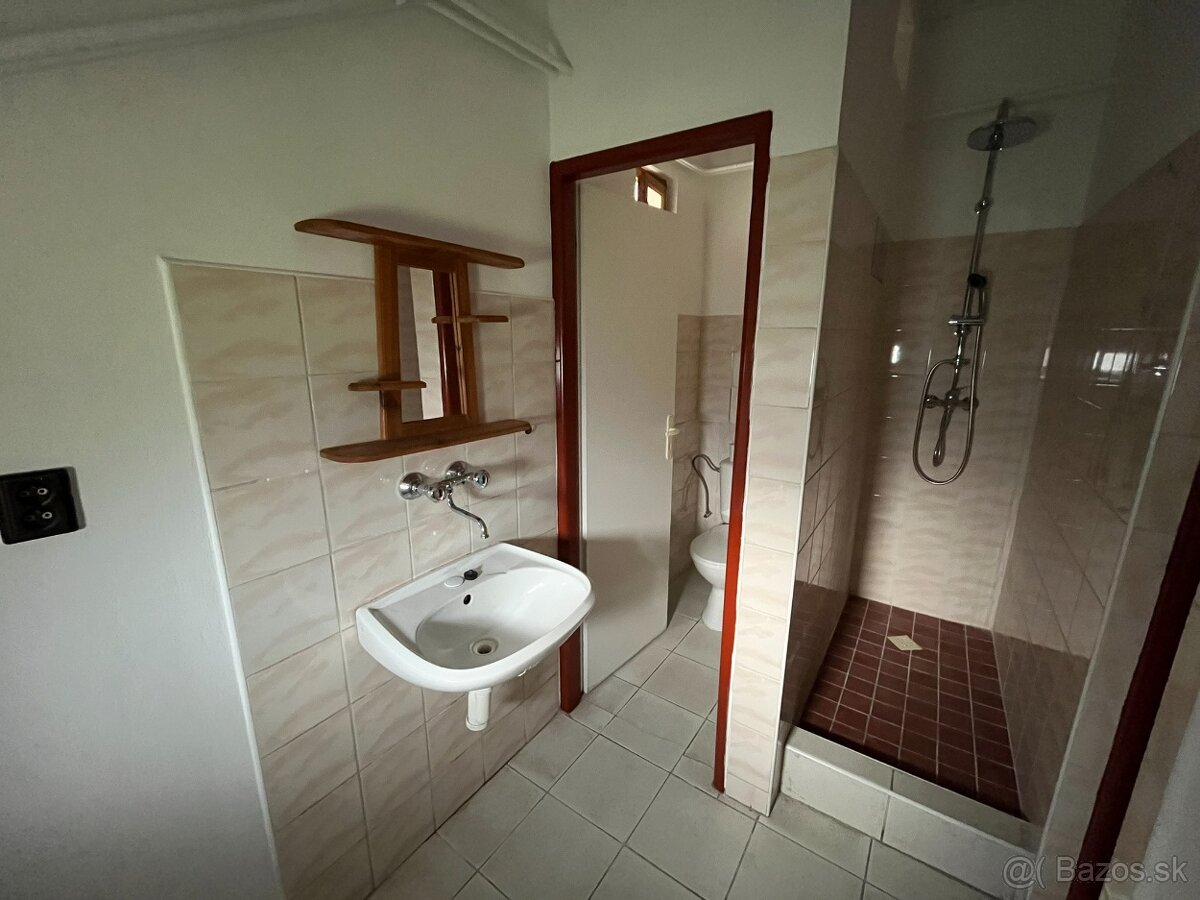 Obchodné priestory v centre obce Borský Mikuláš - 19