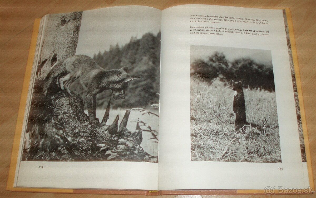 Povídání s liškou - 19