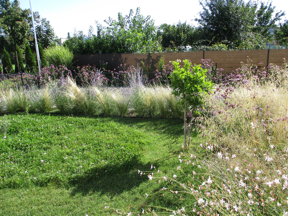 Canon IXUS 185 čierny - 19