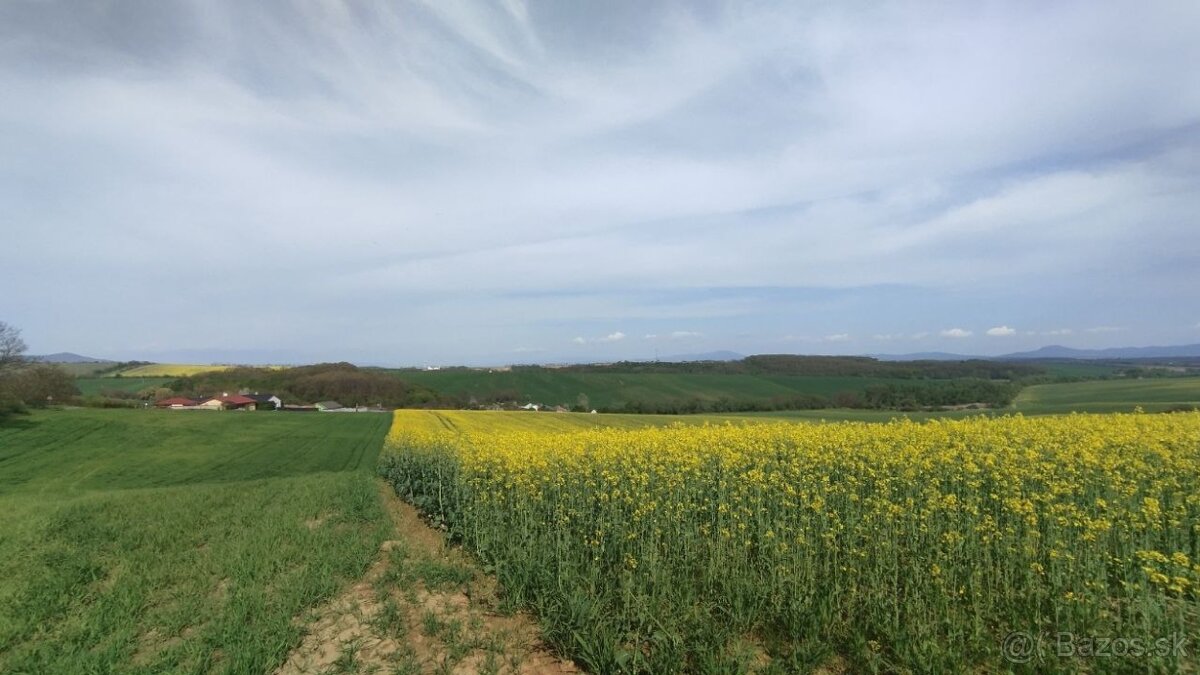 PREDAJ: Starší vidiecky dom s veľkým pozemkom a vínnou pivni - 19