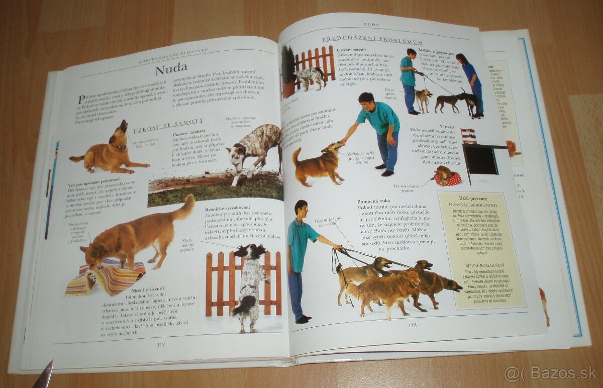 Výchova a výcvik psa - 19