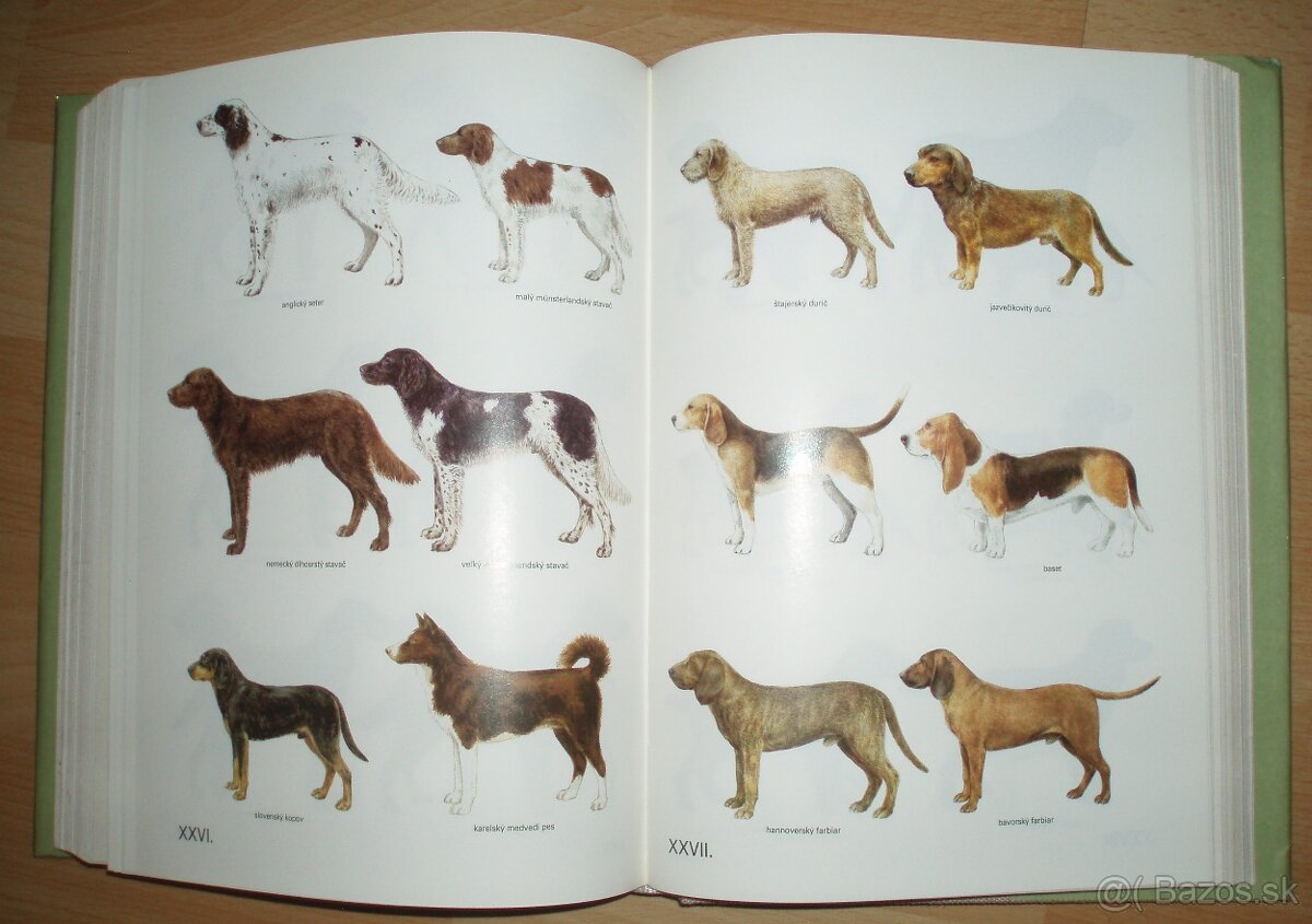 Poľovnícky náučný slovník - 19