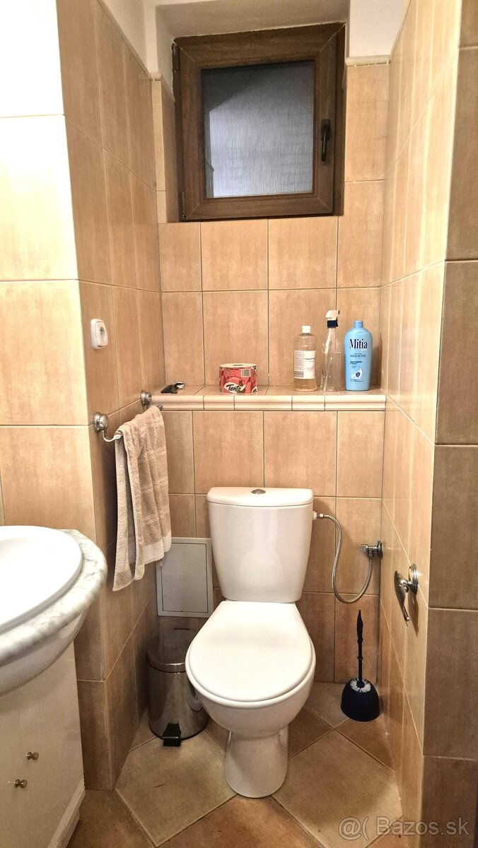 Rekreačný dom v obci Nižná Polianka - 19