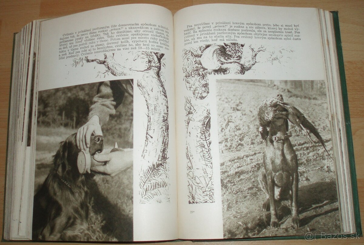 Poľovníctvo v obrazoch - 19