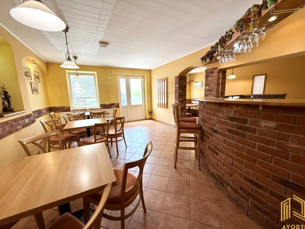 RODINNÝ DOM s DVOMI BYTMI a VINÁRŇOU, SOBOTIŠTE - 19