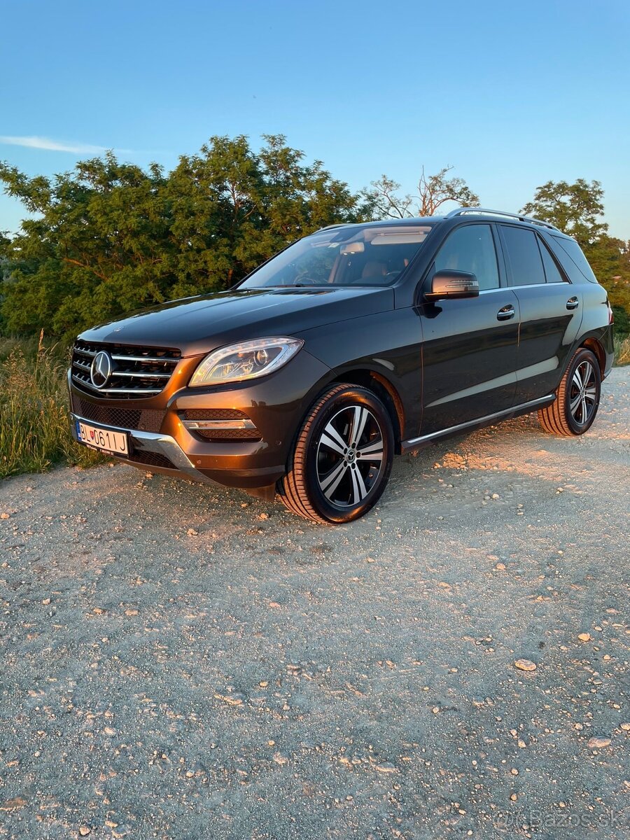 Mercedes ML250 GLE250 4Matic - 19