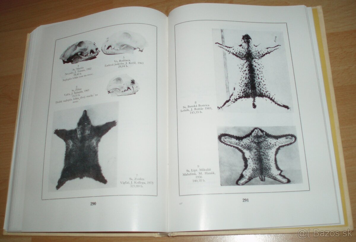 Zlaté trofeje ČSSR - 19