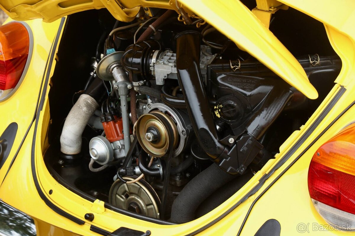 Volkswagen Beetle - 19