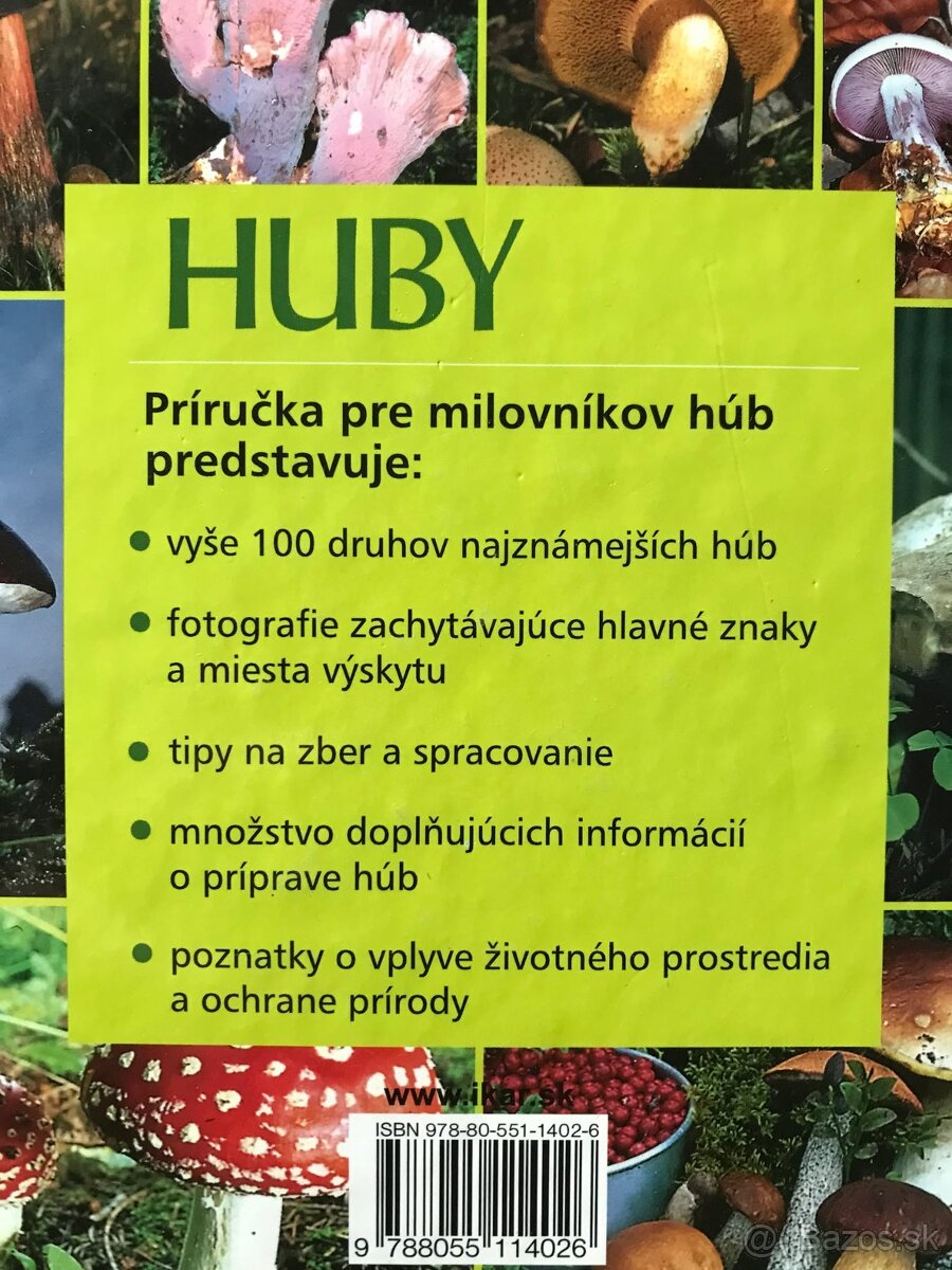 Čičmany, Bratislava zadným vchodom 1918 -2005, Spiritismus - 19