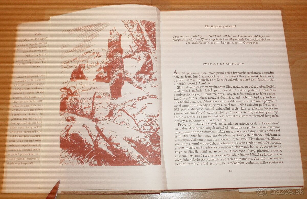 Lovy v Karpatech - 19