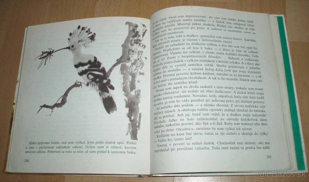 Z poľovníckej kapsy - 19