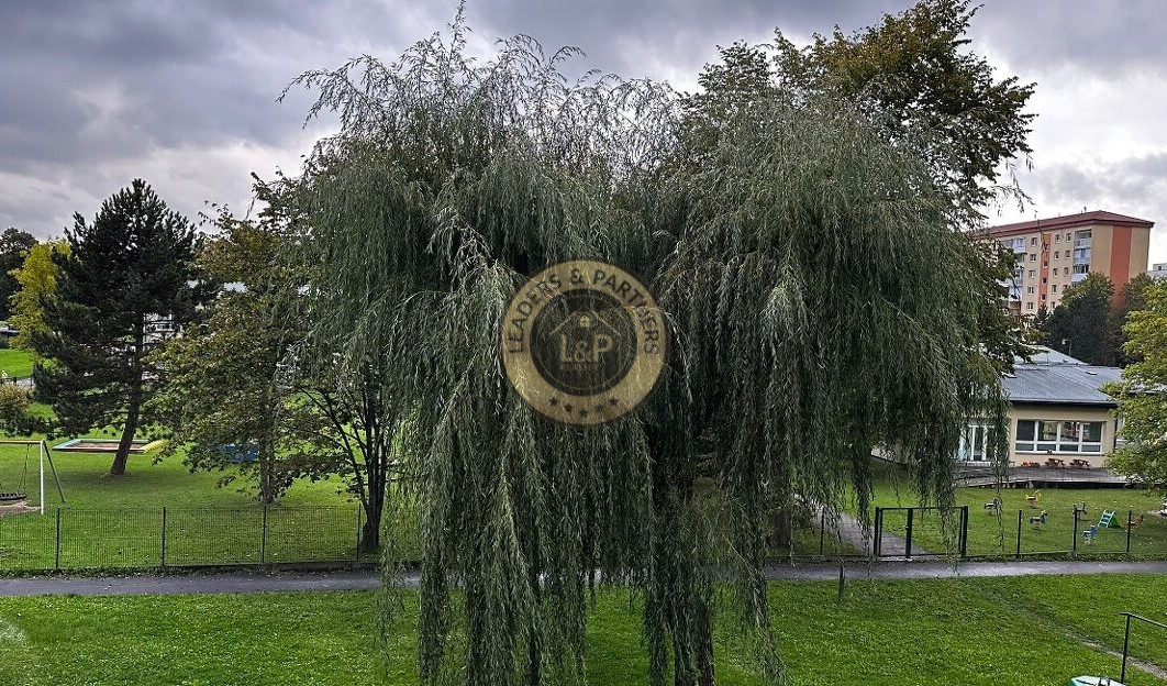 NA PREDAJ - Zrekonštruovaný 2-izbový byt - STARÁ ĽUBOVŇA - 19