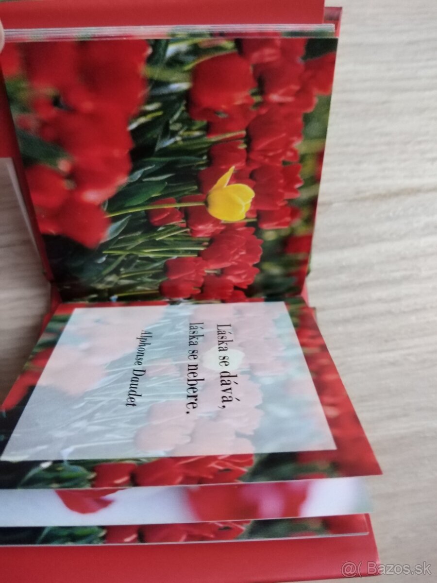 Misa z chirurgickej ocele - 19