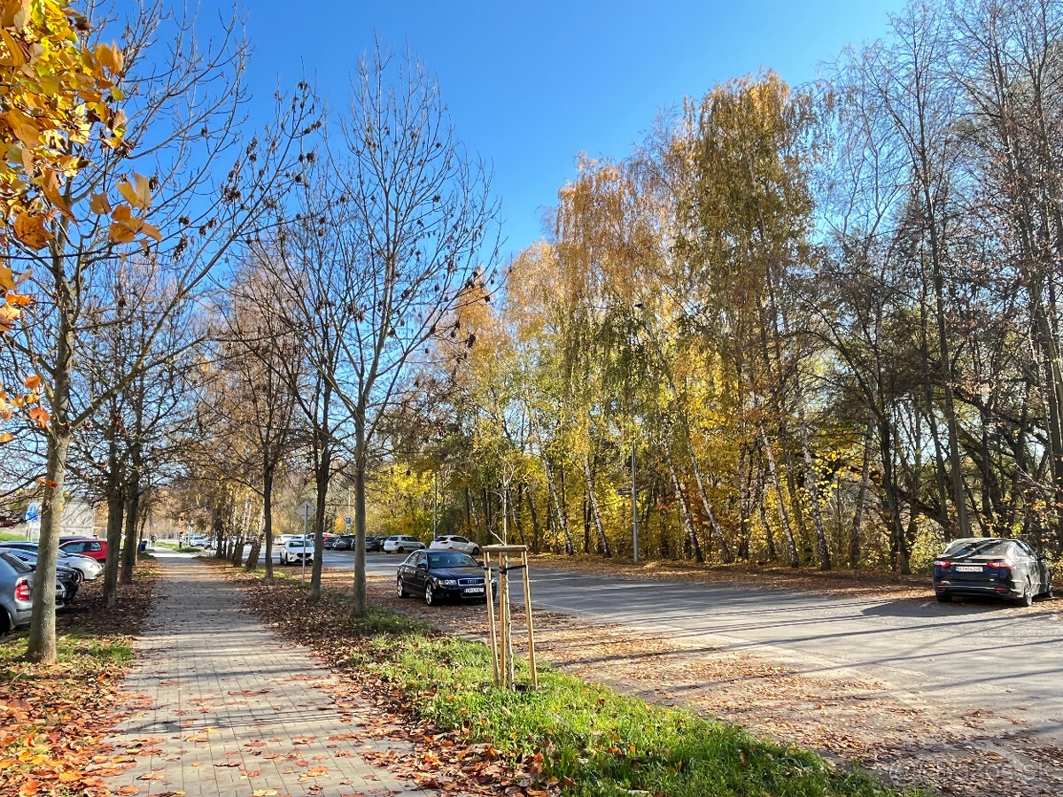 1 a 1/2 izbový byt s balkónom 43 m2 Trenčín, ul. Východná - 19