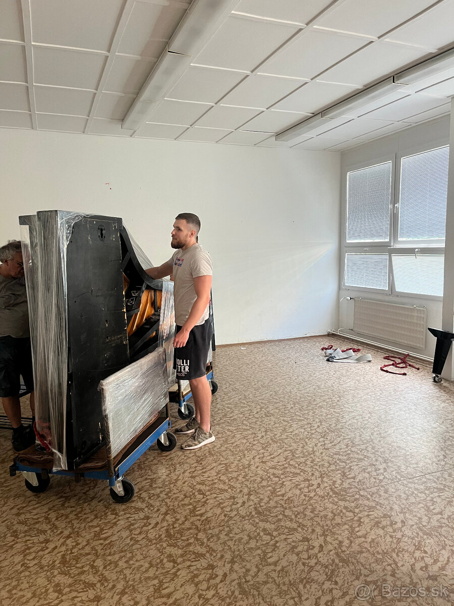 Sťahovanie Štúrovo, preprava a vypratávanie bytov, domov - 19