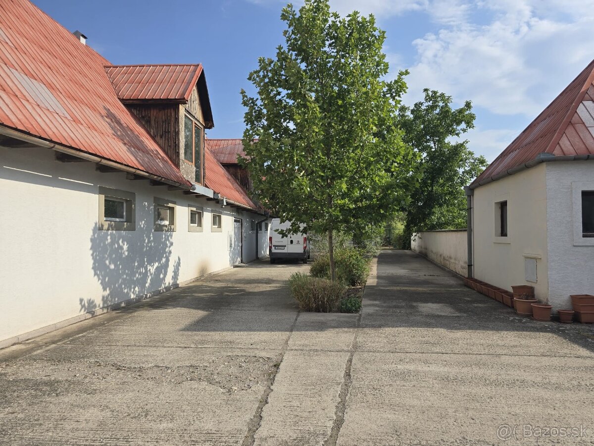 Veľký rodinný Dom-Jur nad Hronom s potenciálom na podnikanie - 19