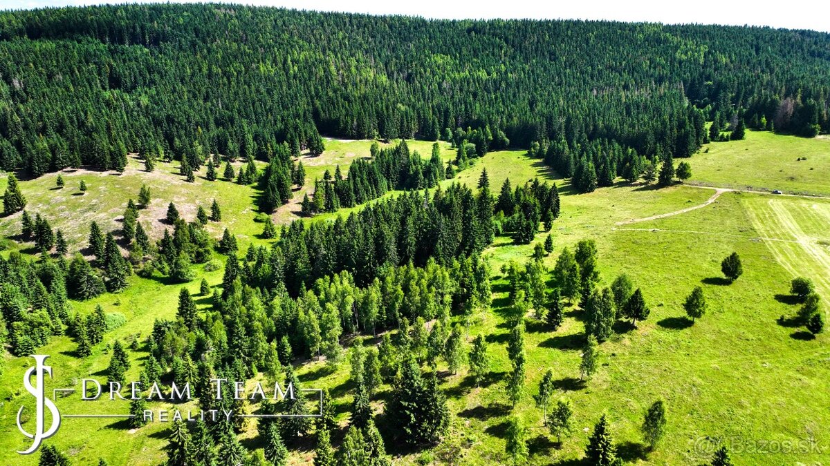 Stavebný pozemok 2.2ha v krásnom prostredí Látky okr. Detva - 19