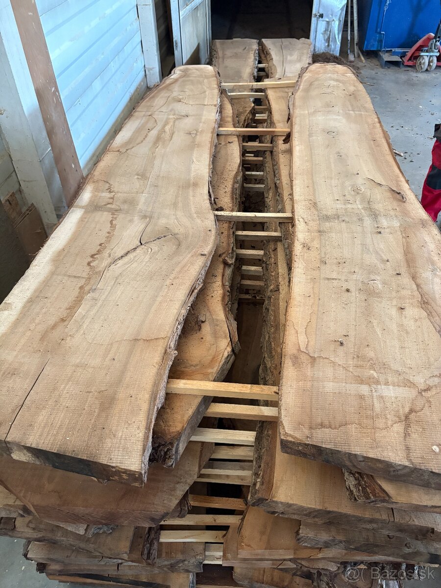 Vysušené orechové fošne, orech, 52 a 60 mm - 19