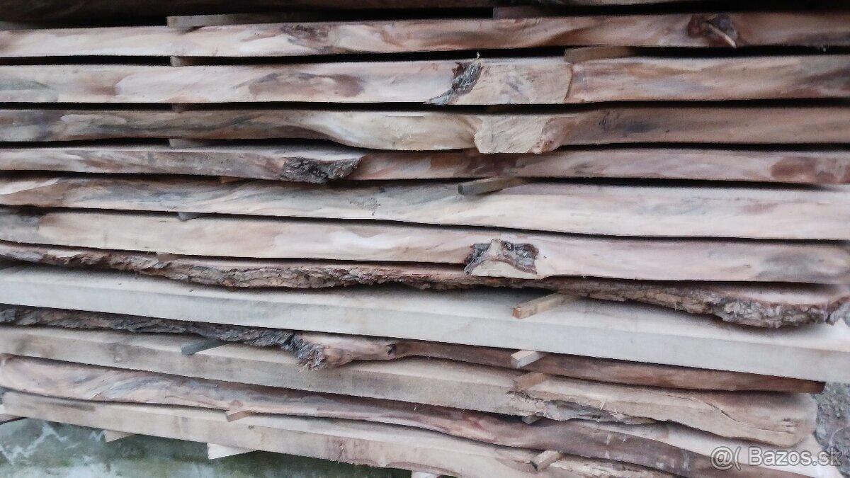 Brastové forsty - 19