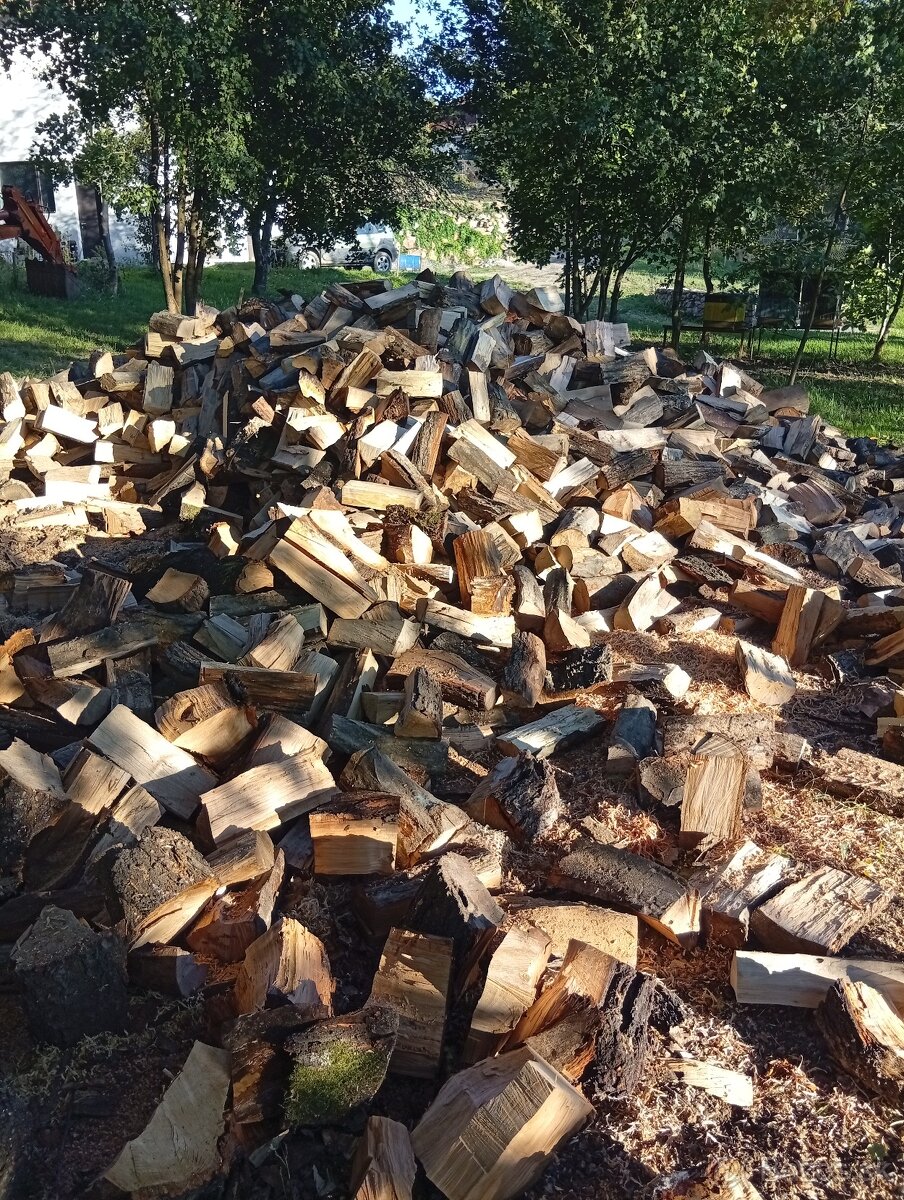 Agát, Agátové ploty - 19