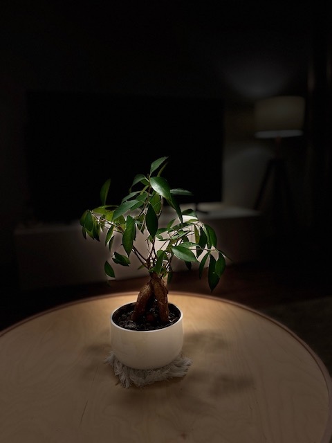 3-izb.zrekonštruovaný byt na Zvolenskej ul., loggia - 19