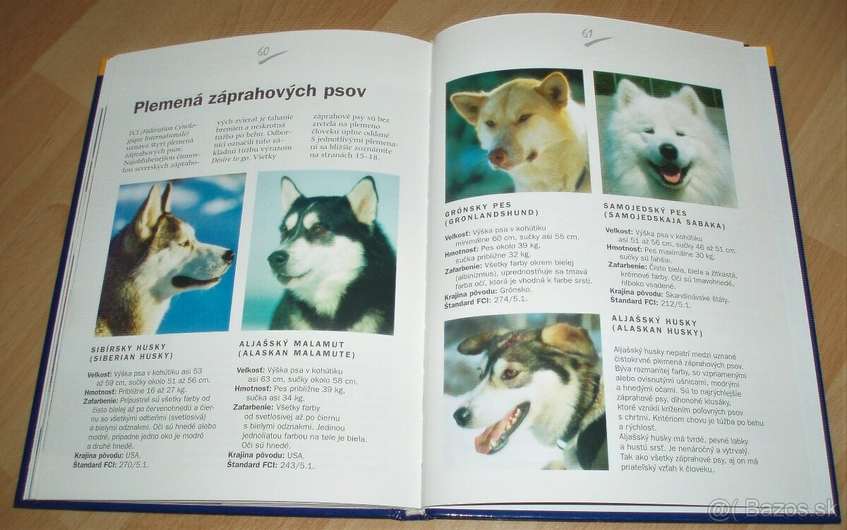 Záprahové psy - 19