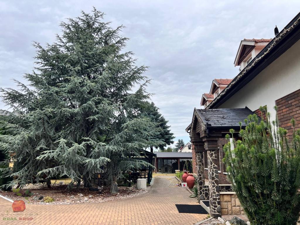 Výnimočná 9-izbová nehnuteľnosť s veľkým pozemkom – ideálna - 19