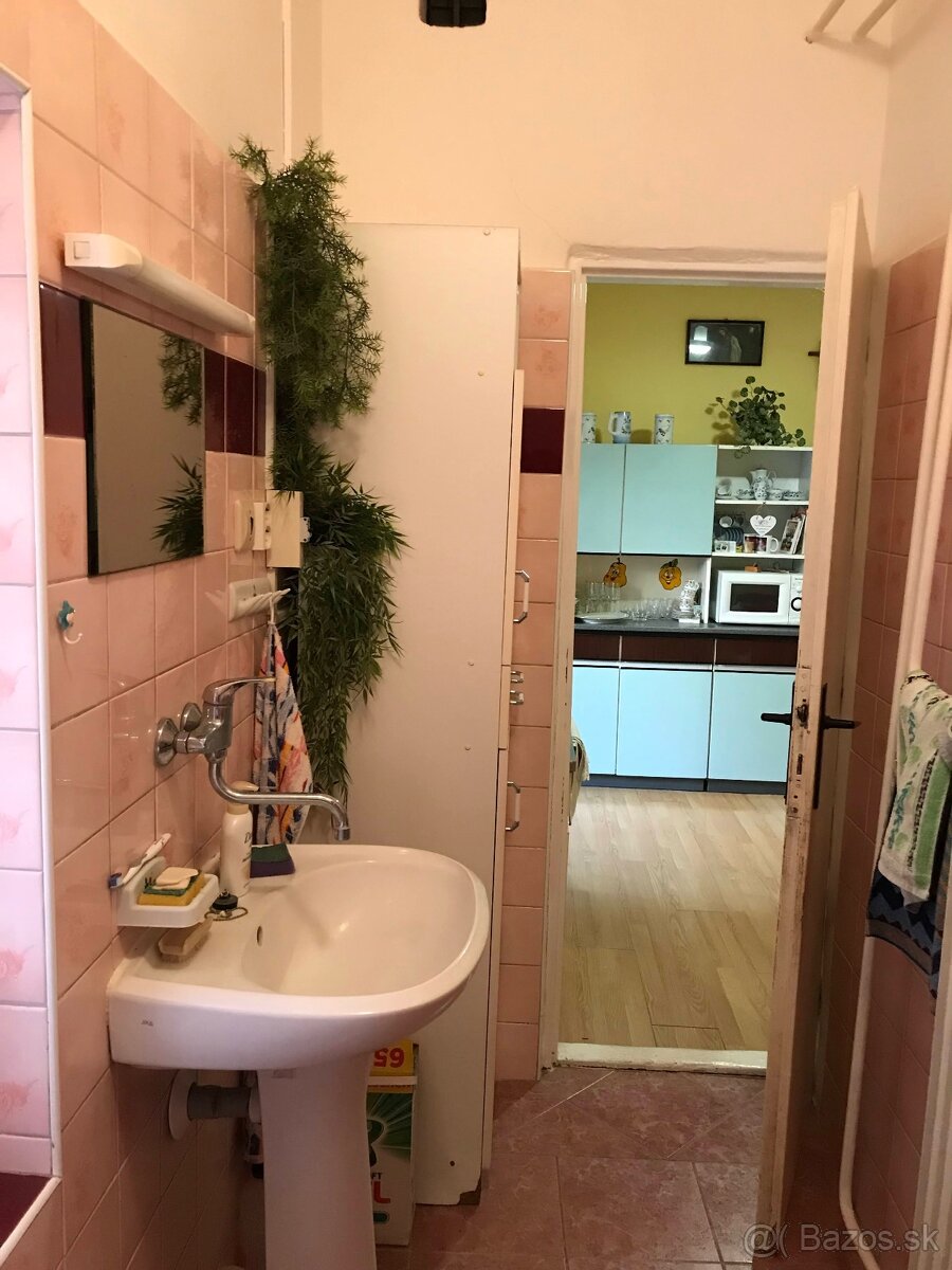 Predaj 3 izbový dom v obci Hronský Beňadik. - 19