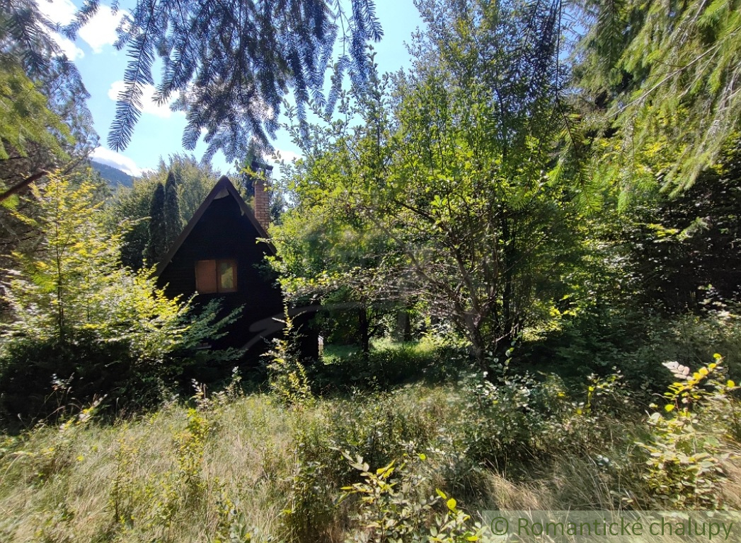 Chata uprostred lesa neďaleko viacerých lyžiarskych stredí - 19