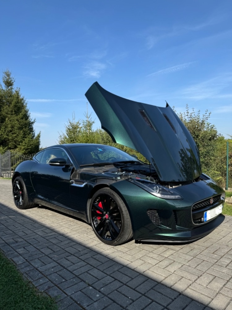 Jaguar F-Type 3,0 V6 S Britisch Racing Green - 19