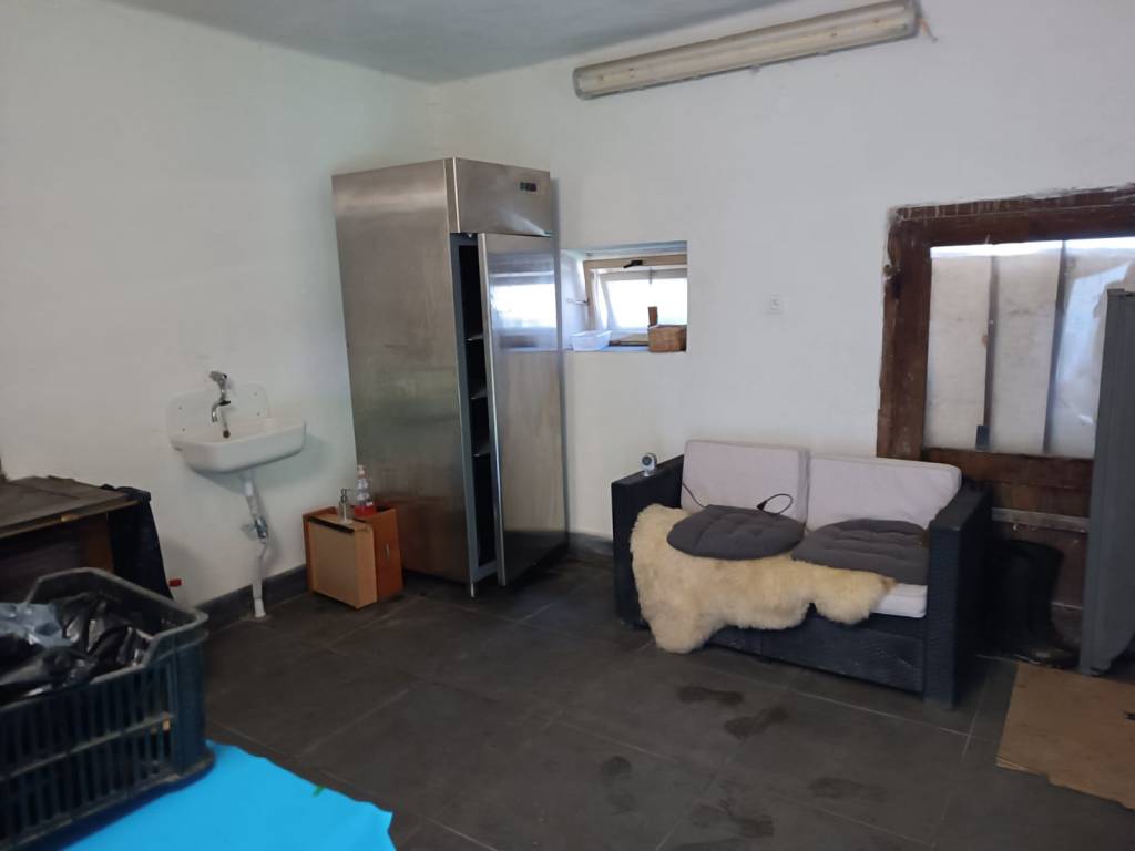 Hospodárska usadlosť - 19