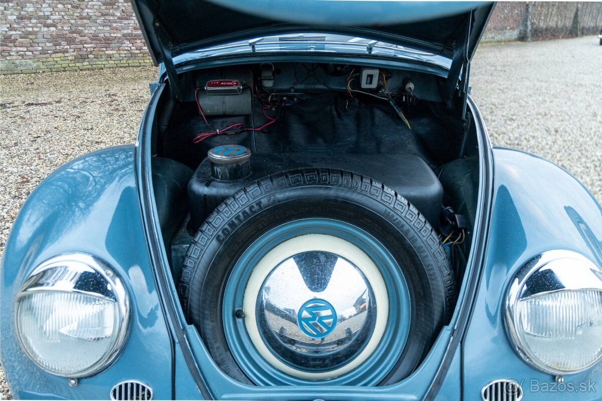 Volkswagen Beetle - 19