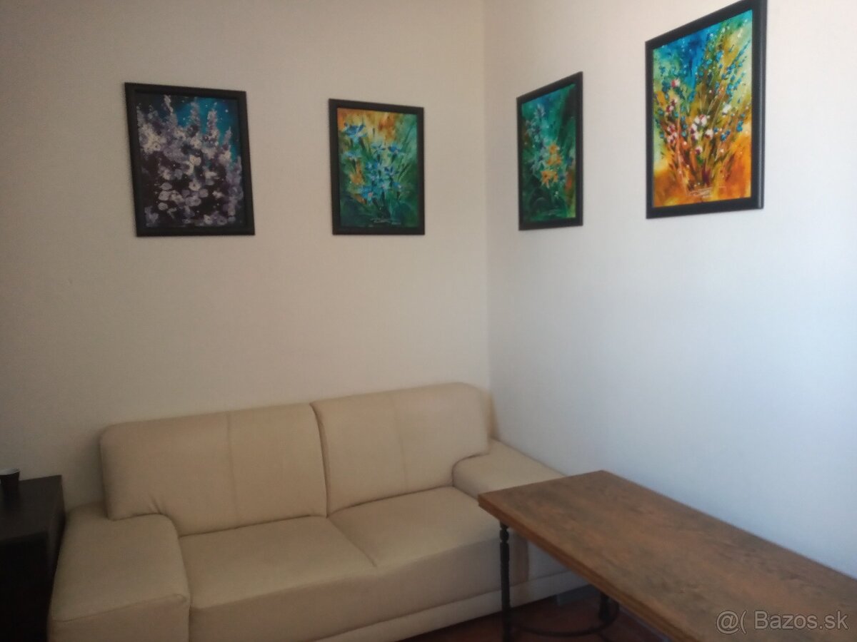 Dlhodobé a krátkodobé komfortné ubytovanie Bydos Nováky - 19