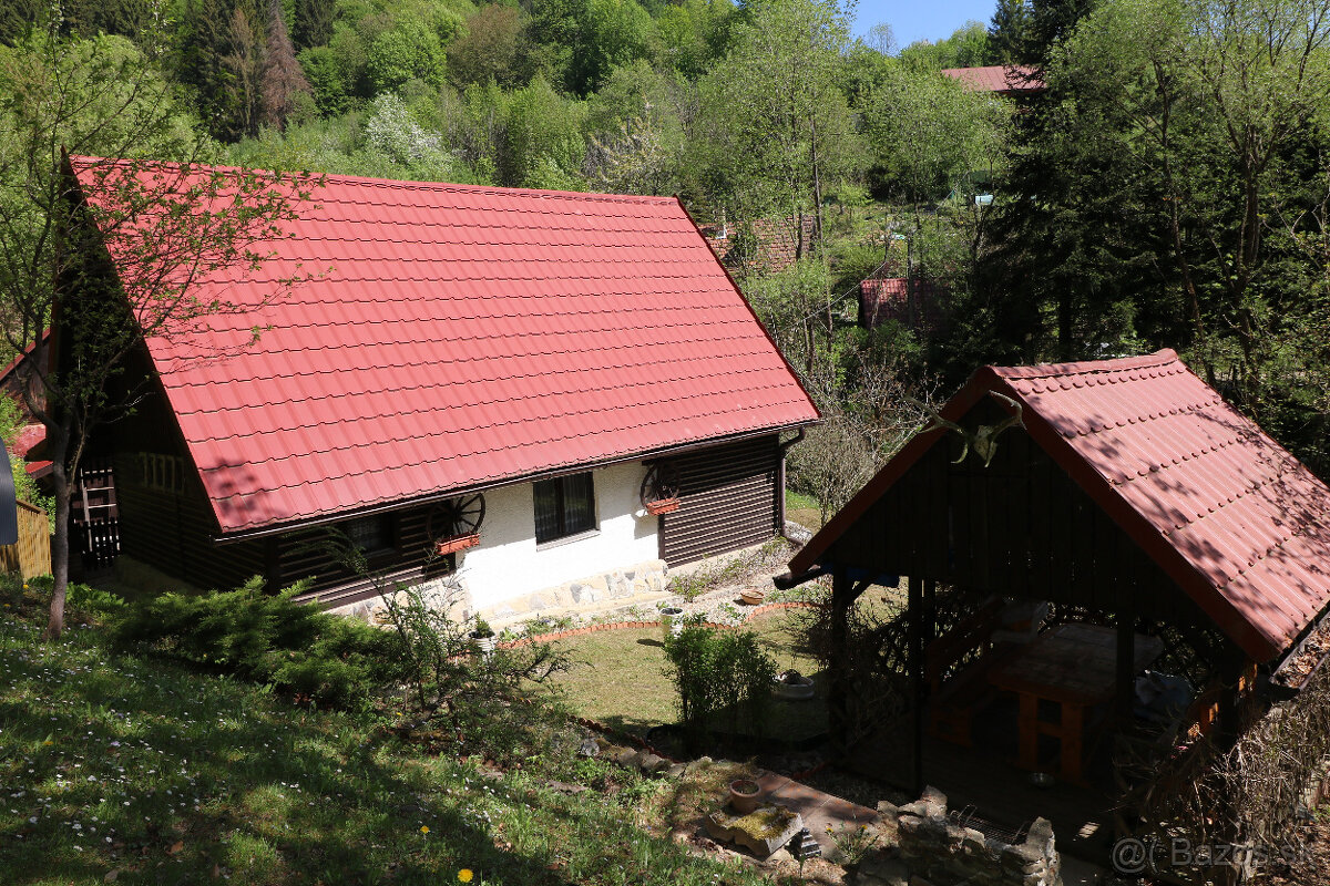 PREDAJ DREVENICE VEĽKÉ ROVNÉ - 19