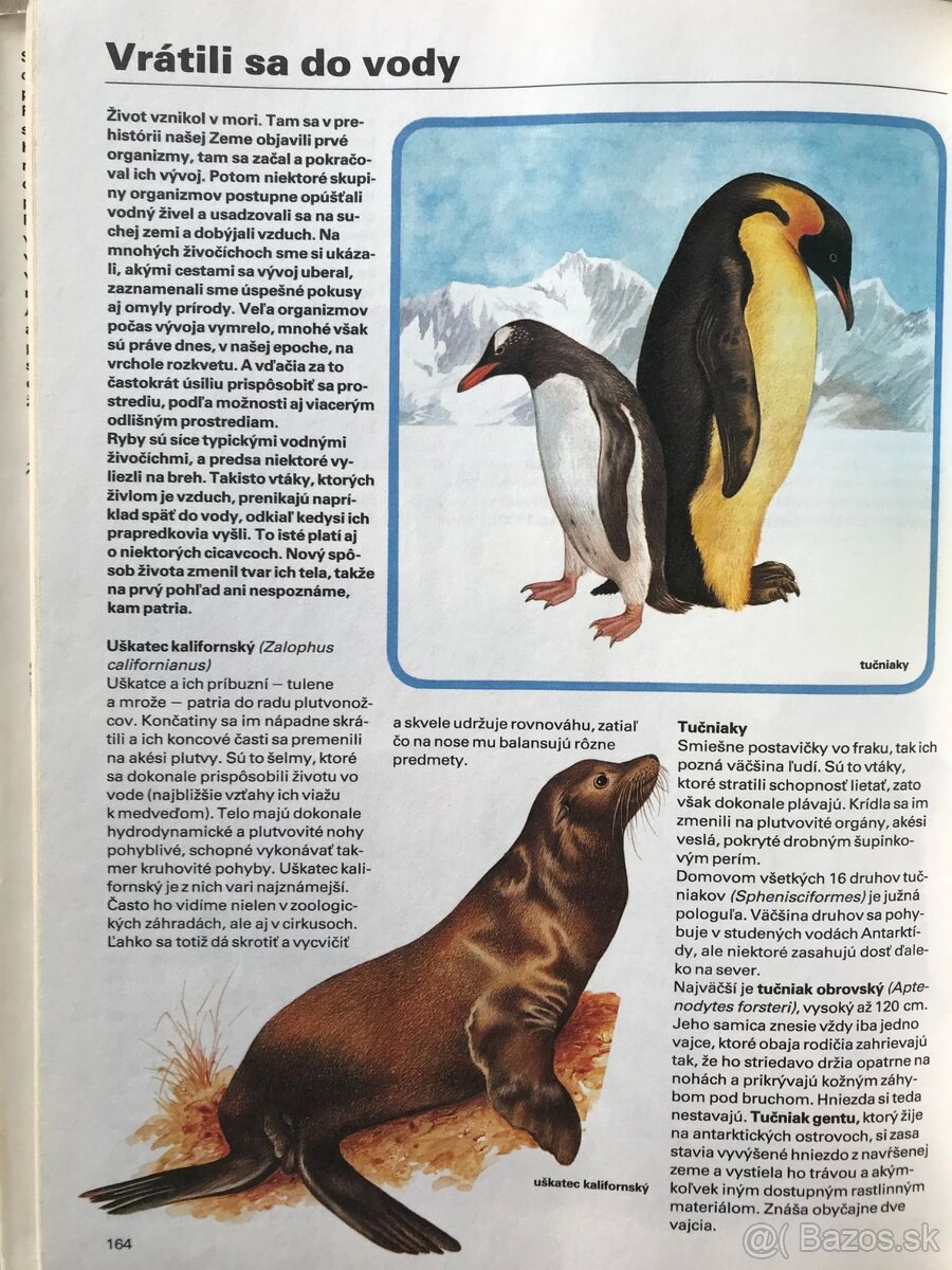 Bukovský, Psy, Golf Fyzika, Malý atlas húb, Slovenský futbal - 19