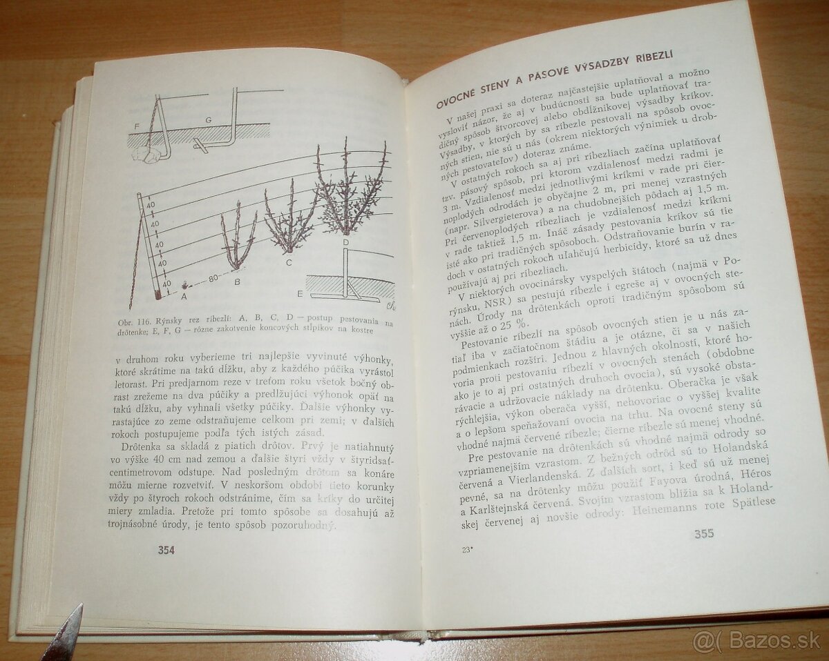 Rez a tvarovanie ovocných drevín - 19
