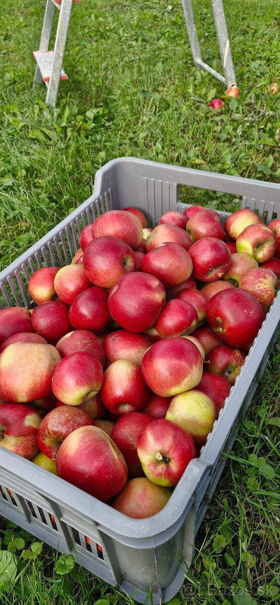 TRADIČNÝ SLIVKOVÝ LEKVÁR 100% Z BYSTRICKÝCH SLIVIEK - 19