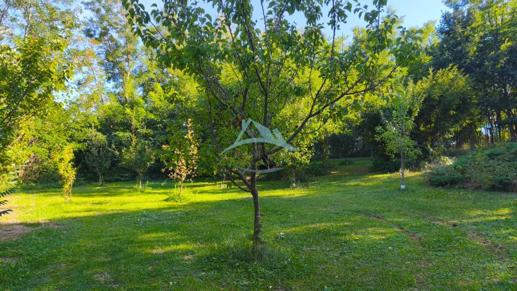 Rozsiahla nehnuteľnosť so zabehnutým výnosným podnikaním – n - 19